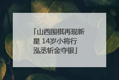 山西围棋再现新星 14岁小将行泓丞斩金夺银