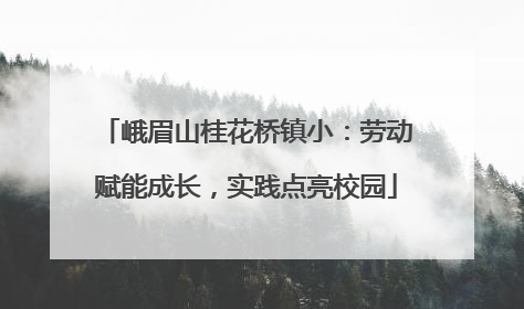 峨眉山桂花桥镇小：劳动赋能成长，实践点亮校园