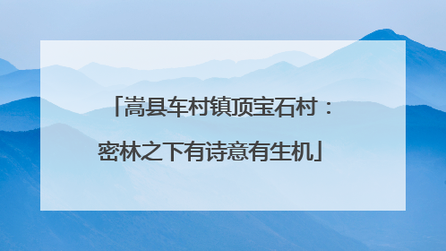 嵩县车村镇顶宝石村：密林之下有诗意有生机