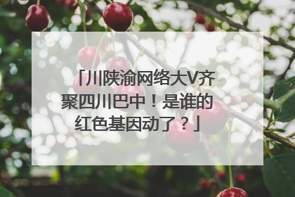 川陕渝网络大V齐聚四川巴中！是谁的红色基因动了？