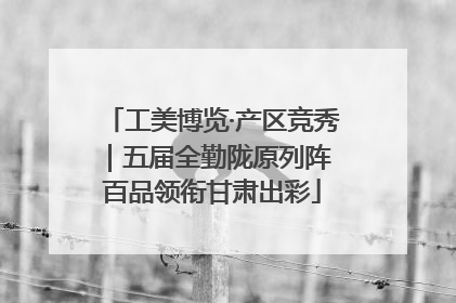 工美博览·产区竞秀｜五届全勤陇原列阵 百品领衔甘肃出彩
