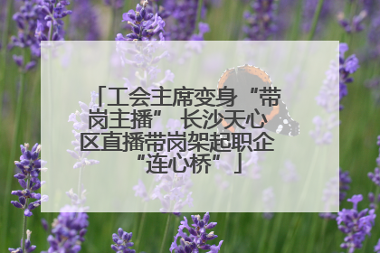 工会主席变身“带岗主播” 长沙天心区直播带岗架起职企“连心桥”