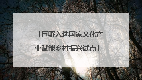 巨野入选国家文化产业赋能乡村振兴试点