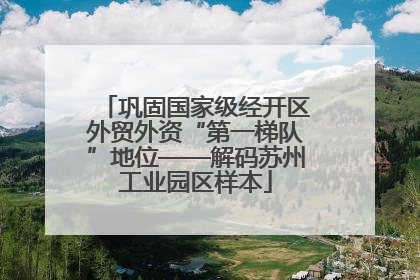 巩固国家级经开区外贸外资“第一梯队”地位——解码苏州工业园区样本