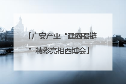 广安产业“建圈强链”精彩亮相西博会