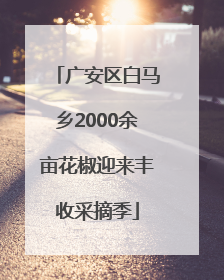 广安区白马乡2000余亩花椒迎来丰收采摘季