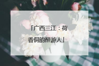 广西三江：荷香侗韵醉游人