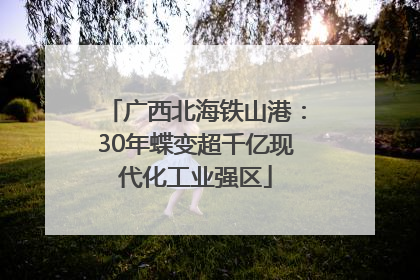 广西北海铁山港：30年蝶变超千亿现代化工业强区