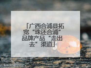 广西合浦县拓宽“珠还合浦”品牌产品“走出去”渠道