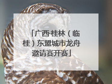 广西·桂林（临桂）东盟城市龙舟邀请赛开赛