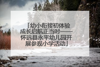 幼小衔接初体验 成长启航正当时——怀远县永平幼儿园开展参观小学活动