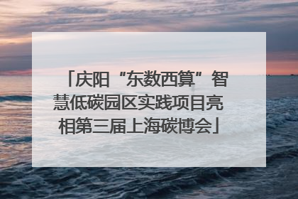 庆阳“东数西算”智慧低碳园区实践项目亮相第三届上海碳博会