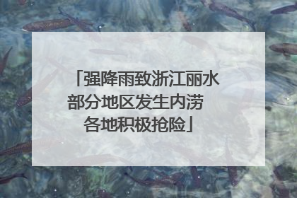 强降雨致浙江丽水部分地区发生内涝 各地积极抢险