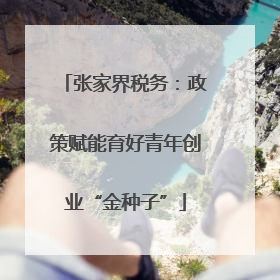 张家界税务：政策赋能育好青年创业“金种子”