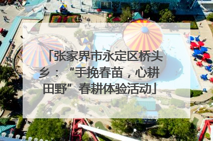 张家界市永定区桥头乡：“手挽春苗，心耕田野”春耕体验活动