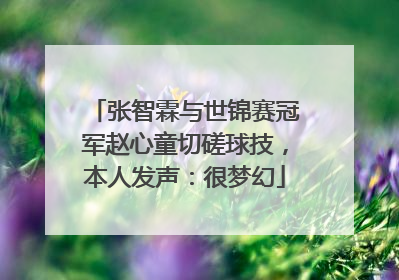 张智霖与世锦赛冠军赵心童切磋球技，本人发声：很梦幻