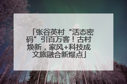 张谷英村“活态密码”引百万客！古村焕新，家风+科技成文旅融合新爆点