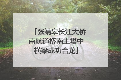 张靖皋长江大桥南航道桥南主塔中横梁成功合龙
