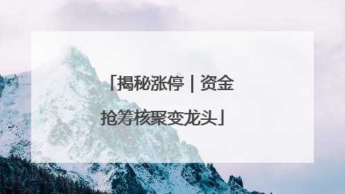 揭秘涨停｜资金抢筹核聚变龙头
