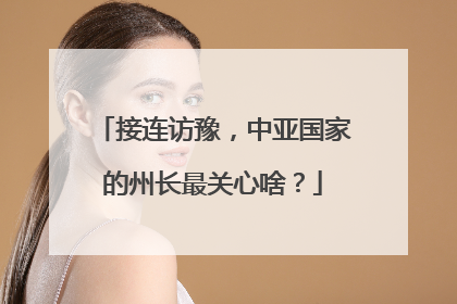 接连访豫，中亚国家的州长最关心啥？