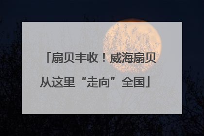 扇贝丰收！威海扇贝从这里“走向”全国
