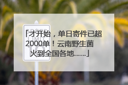 才开始，单日寄件已超2000单！云南野生菌火到全国各地……