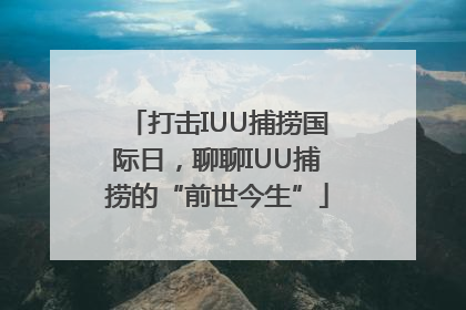 打击IUU捕捞国际日，聊聊IUU捕捞的“前世今生”