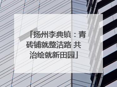 扬州李典镇：青砖铺就整洁路 共治绘就新田园