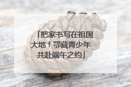 把家书写在祖国大地！鄂藏青少年共赴端午之约