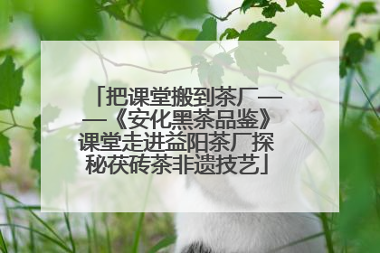 把课堂搬到茶厂——《安化黑茶品鉴》课堂走进益阳茶厂探秘茯砖茶非遗技艺