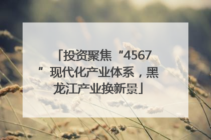 投资聚焦“4567”现代化产业体系，黑龙江产业换新景
