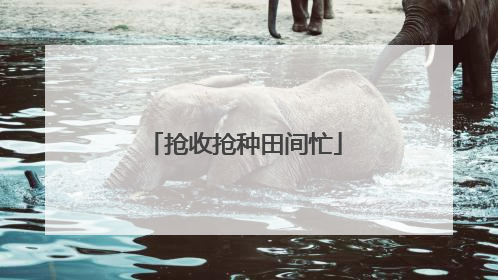 抢收抢种田间忙