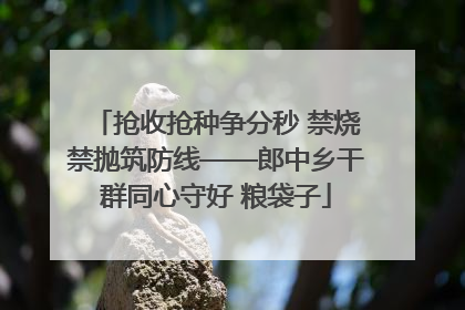 抢收抢种争分秒 禁烧禁抛筑防线——郎中乡干群同心守好 粮袋子