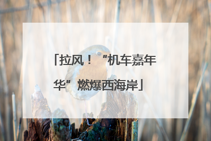 拉风！“机车嘉年华”燃爆西海岸