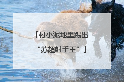 村小泥地里踢出“苏超射手王”