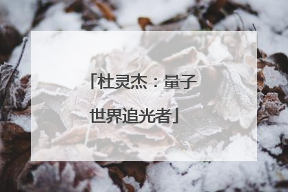 杜灵杰：量子世界追光者