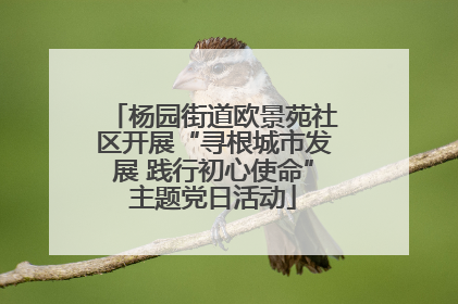 杨园街道欧景苑社区开展“寻根城市发展 践行初心使命”主题党日活动