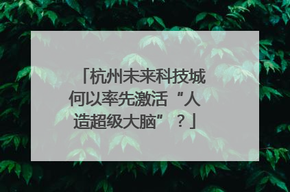 杭州未来科技城何以率先激活“人造超级大脑”？
