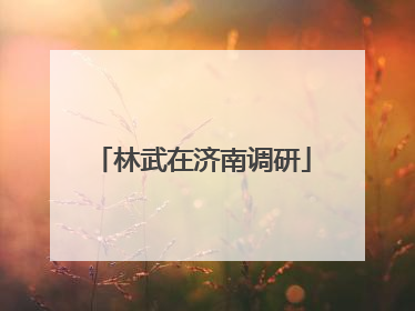 林武在济南调研