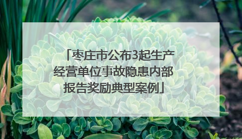 枣庄市公布3起生产经营单位事故隐患内部报告奖励典型案例