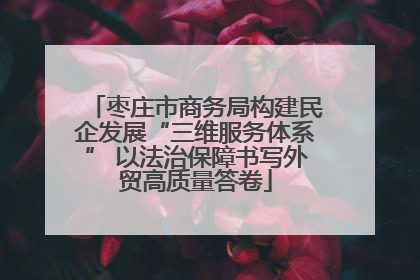 枣庄市商务局构建民企发展“三维服务体系” 以法治保障书写外贸高质量答卷