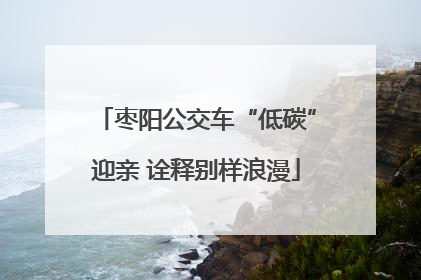 枣阳公交车“低碳”迎亲 诠释别样浪漫
