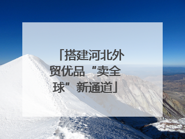 搭建河北外贸优品“卖全球”新通道