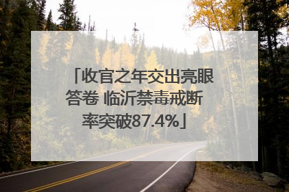 收官之年交出亮眼答卷 临沂禁毒戒断率突破87.4%