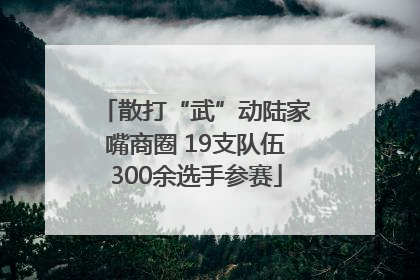 散打“武”动陆家嘴商圈 19支队伍300余选手参赛