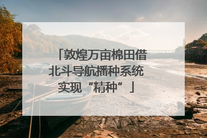 敦煌万亩棉田借北斗导航播种系统实现“精种”