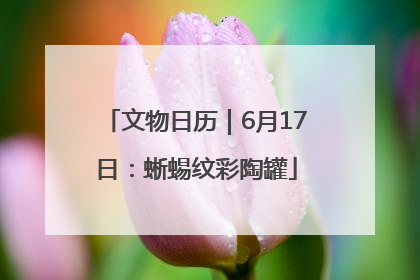 文物日历｜6月17日：蜥蜴纹彩陶罐