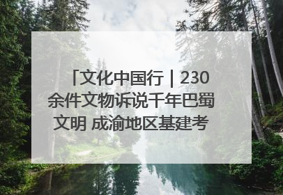文化中国行｜230余件文物诉说千年巴蜀文明 成渝地区基建考古成果展开展