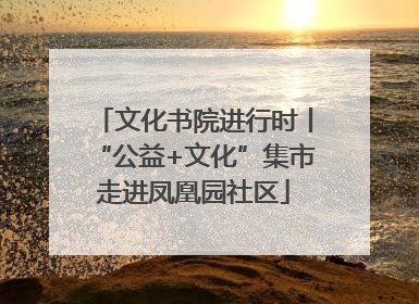 文化书院进行时丨“公益+文化”集市走进凤凰园社区