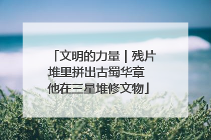 文明的力量｜残片堆里拼出古蜀华章 他在三星堆修文物